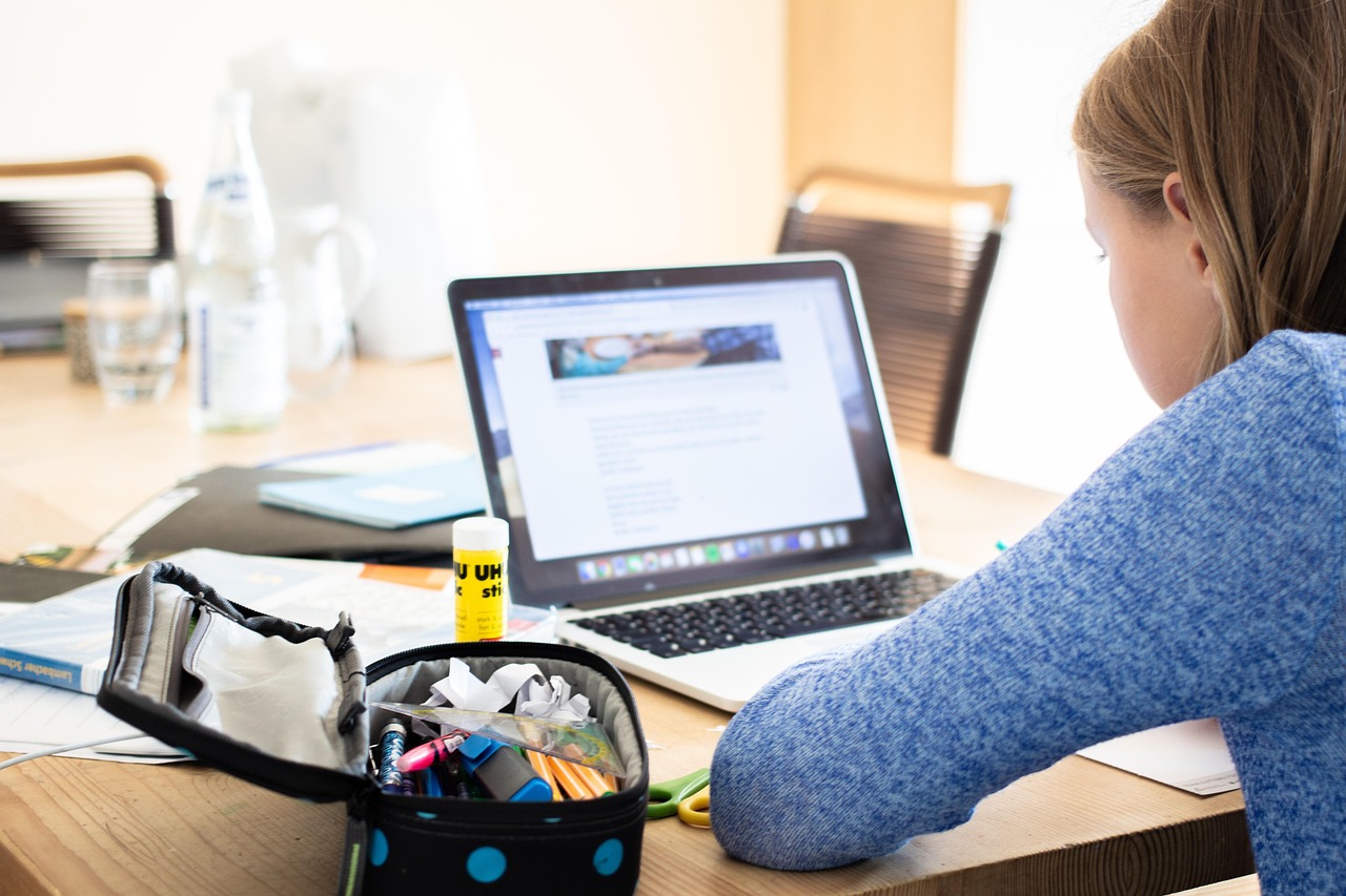 IB Program Pros and Cons