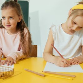 The Upsides of Private Instructors for Self-teaching: A Way to Customised Schooling