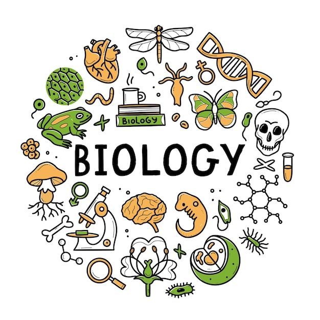 A Level Biology Exam