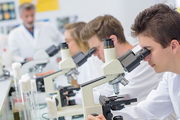 Why Choose an Online Biology A Level? A Flexible Pathway to Scientific Success