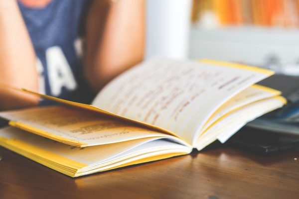 The Brave New World of Online School Programmes